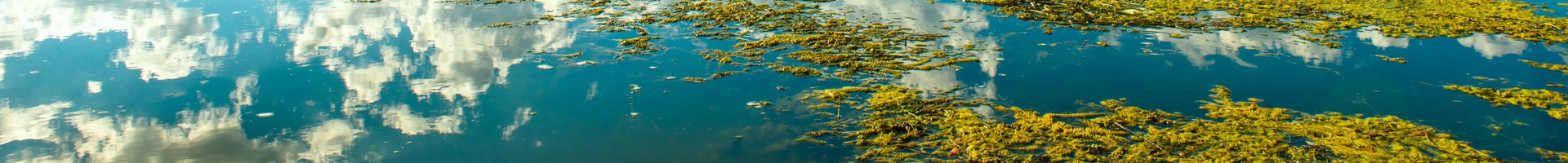 В воде отражается не только небо но и мы с вами вода отражает небо